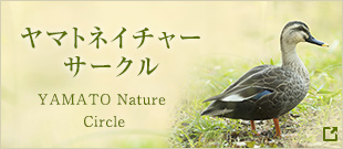 ヤマトネイチャーサークル YAMATO Nature Circle